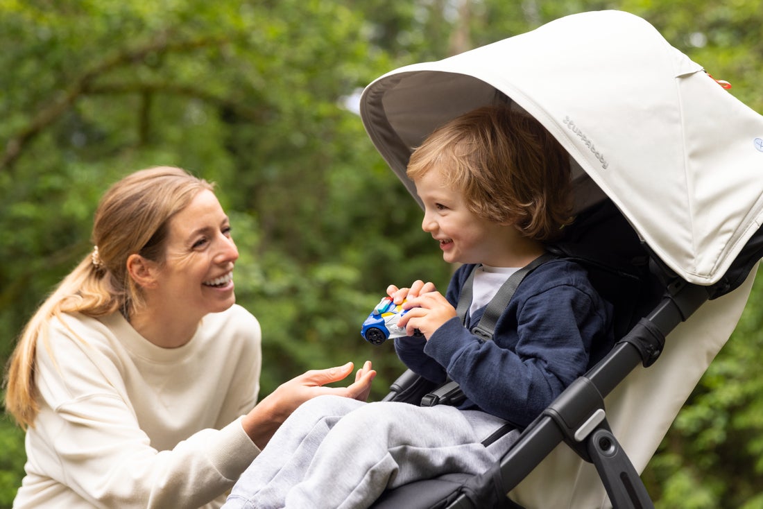 UPPAbaby Ridge Stroller