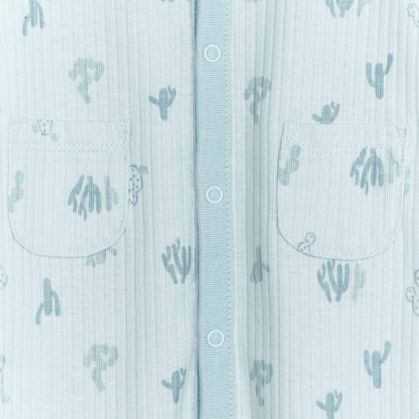 Bebé recién nacido, duerme y juega, cactus del desierto