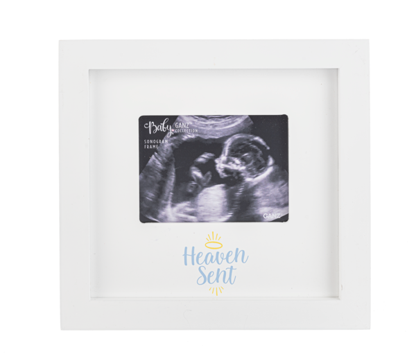 Ganz Sonogram Frame