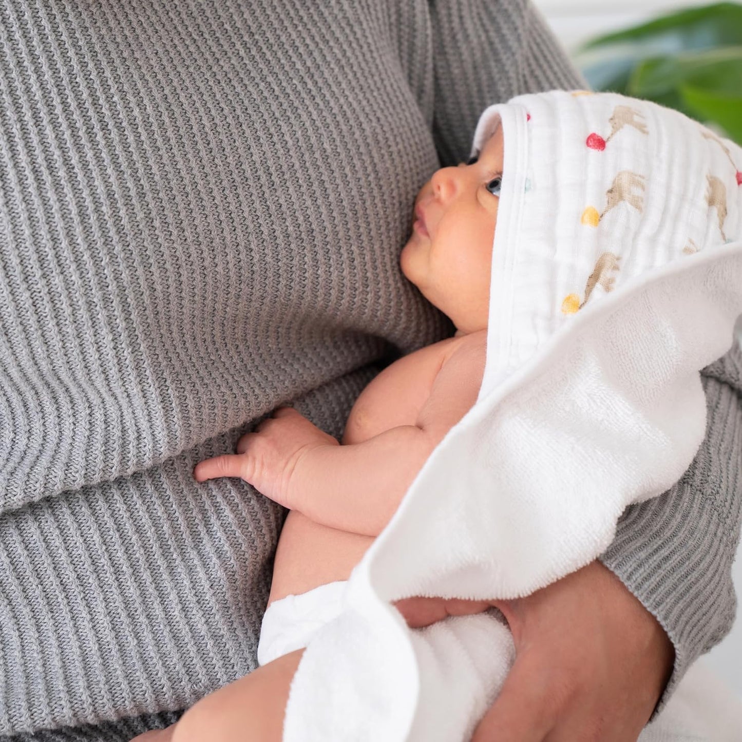 Aden & Anais Essentials Cotton Muslin Hooded Towel 2-Pack