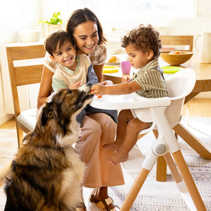 Munchkin Float™ Foldable High Chair