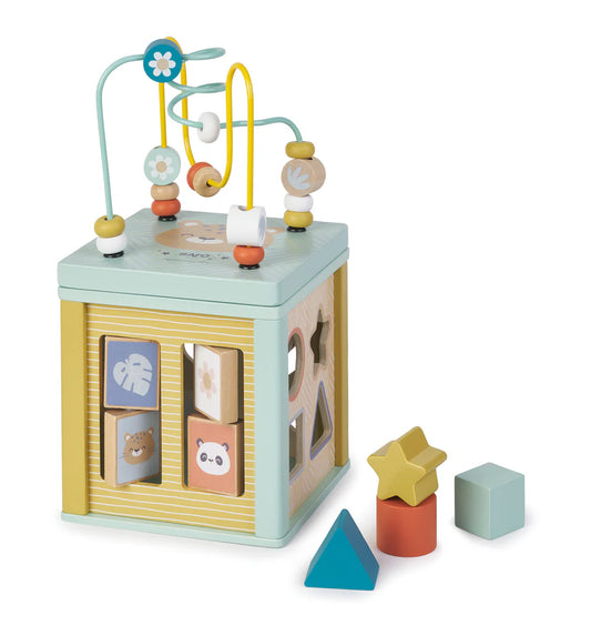 Saro Multi Activity Cube