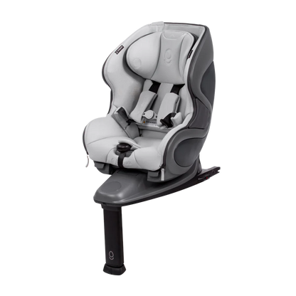 Babyark Convertible Car Seat - Classic