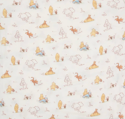 Magnetic Me Moments with Friends Baby Blanket