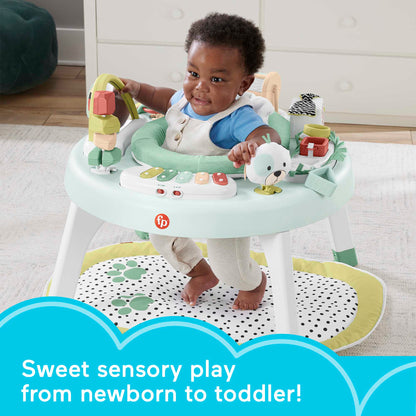 Fisher Price 3 in 1 SnugaPuppy Activity Center