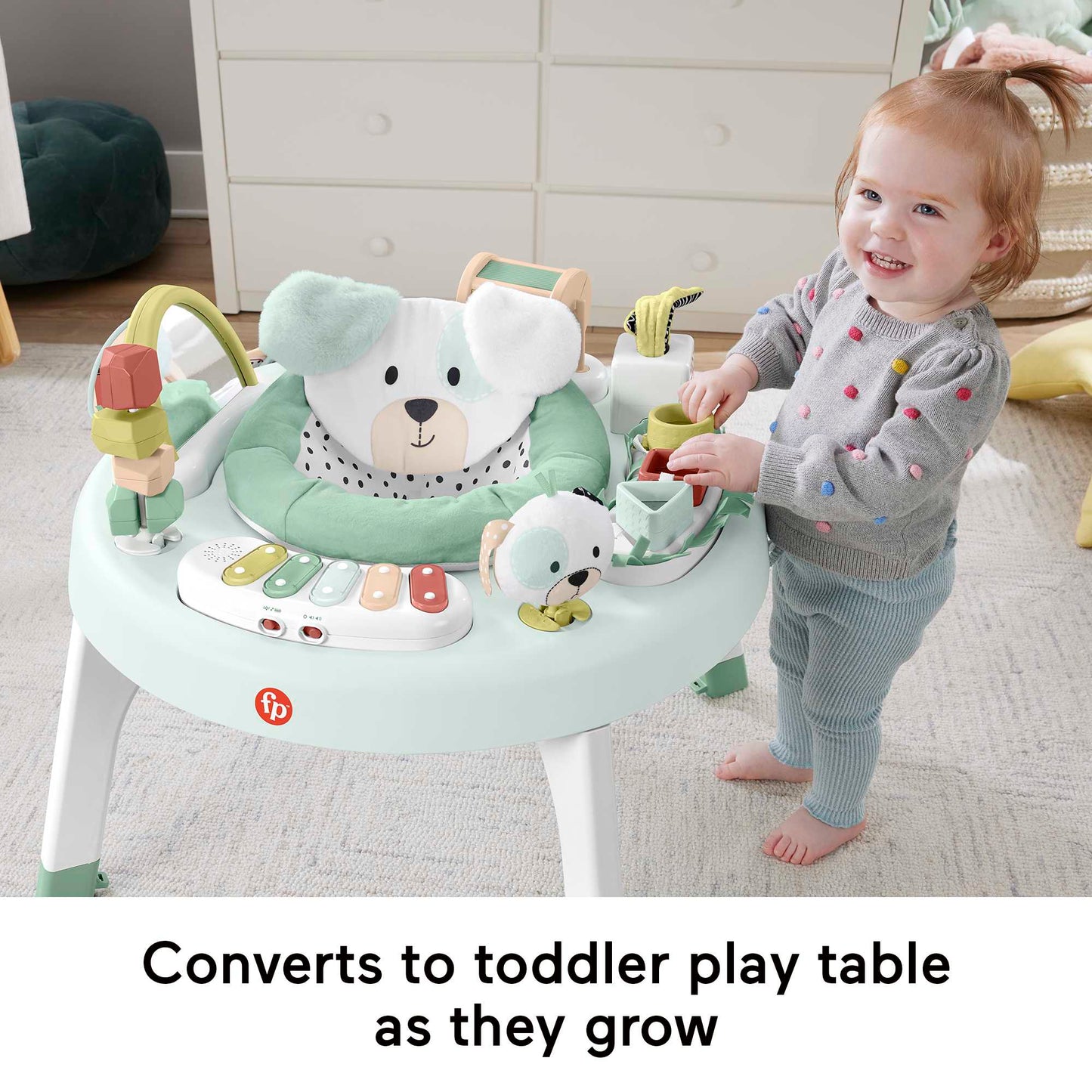 Fisher Price 3 in 1 SnugaPuppy Activity Center