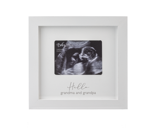 Ganz Sonogram Frame